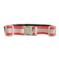 LED waist belt