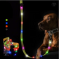 LED Dog Leash