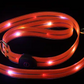 LED Dog Leash